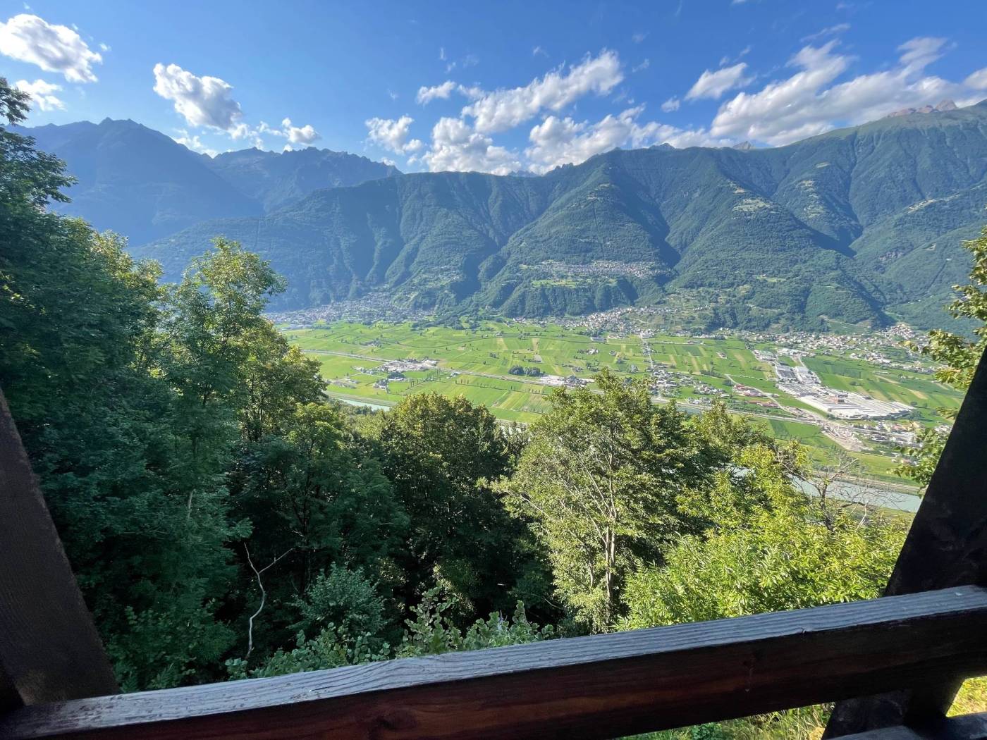 Vista