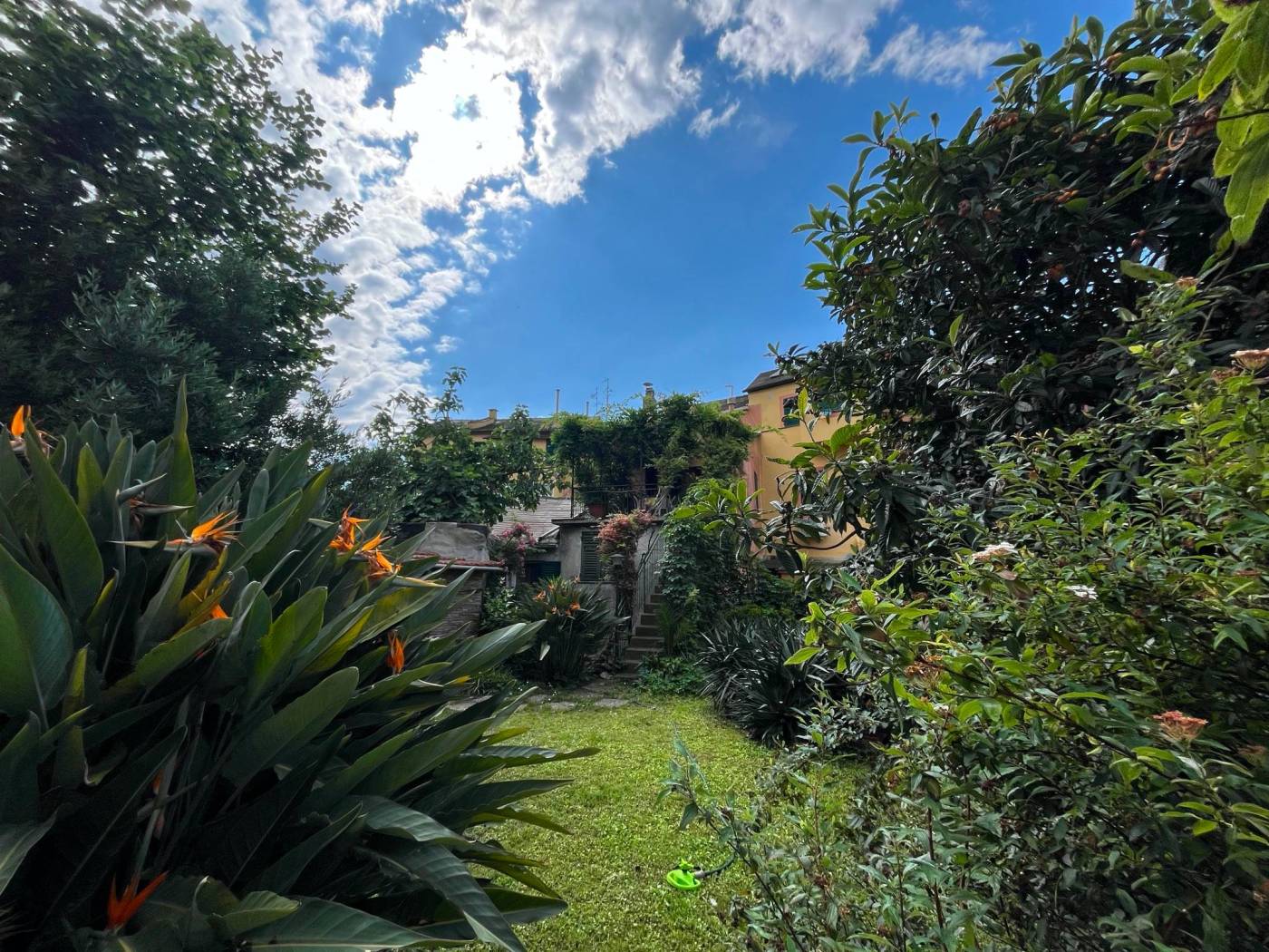 Giardino