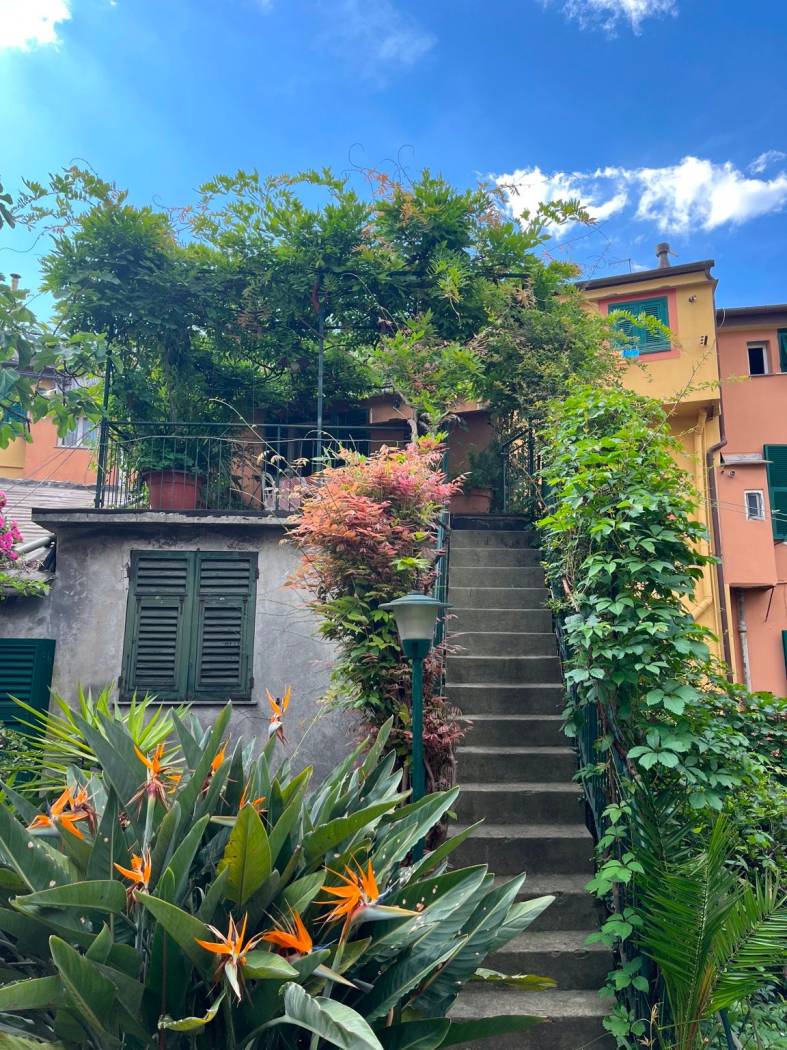Giardino