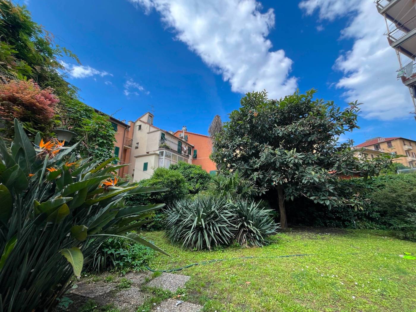Giardino
