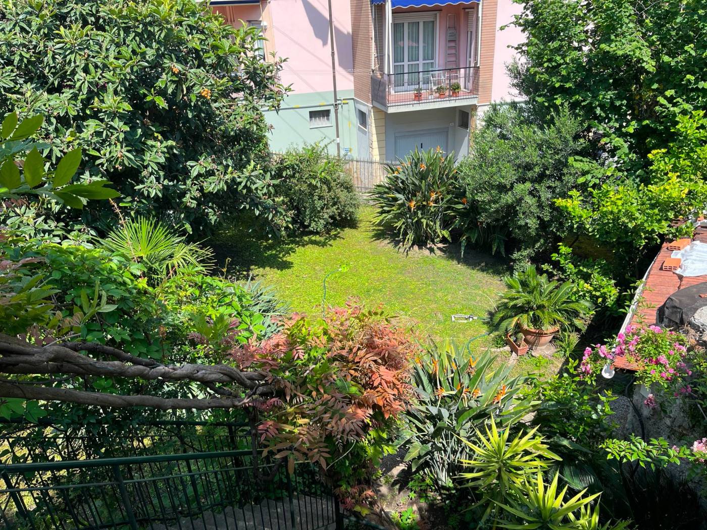 Giardino