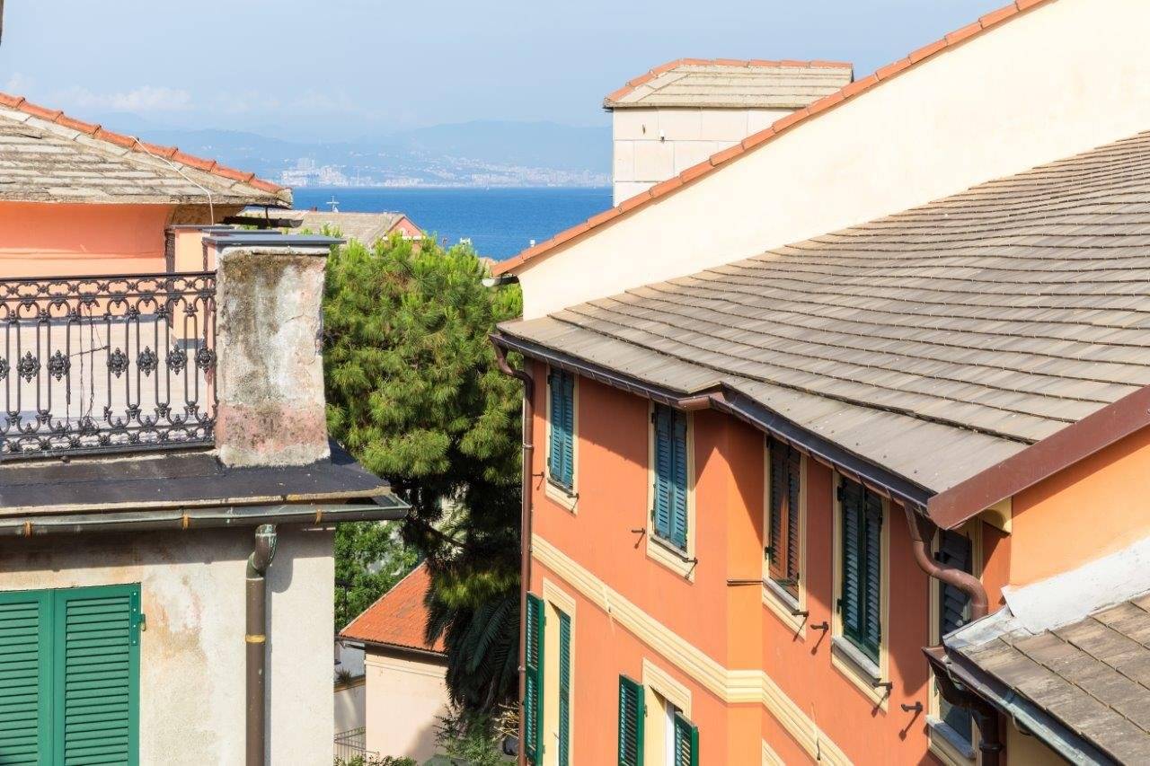 Vista
