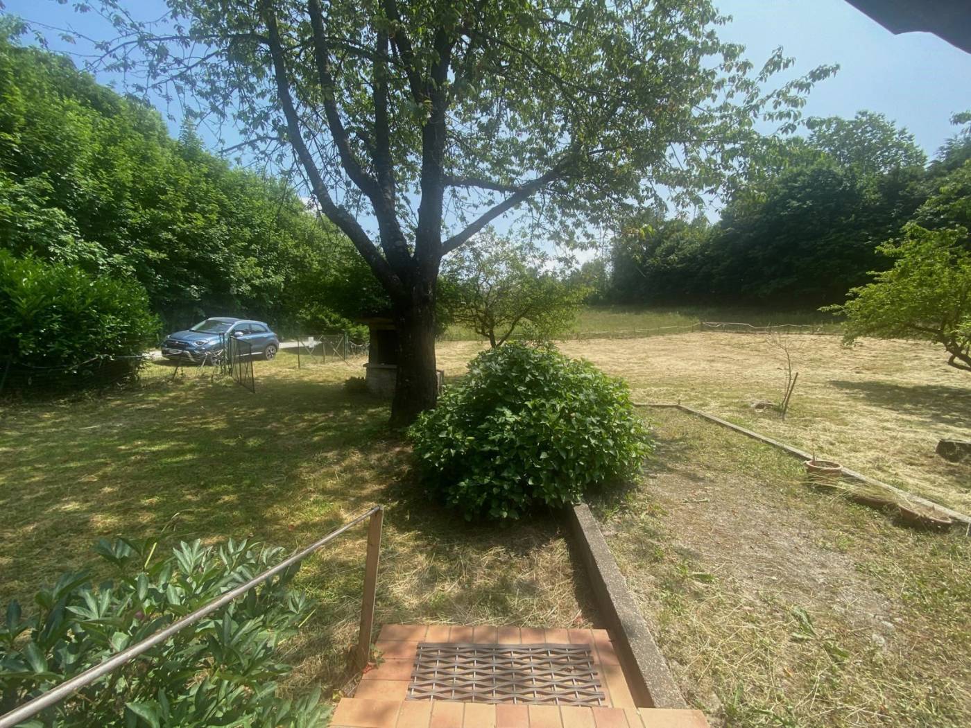 Terreno