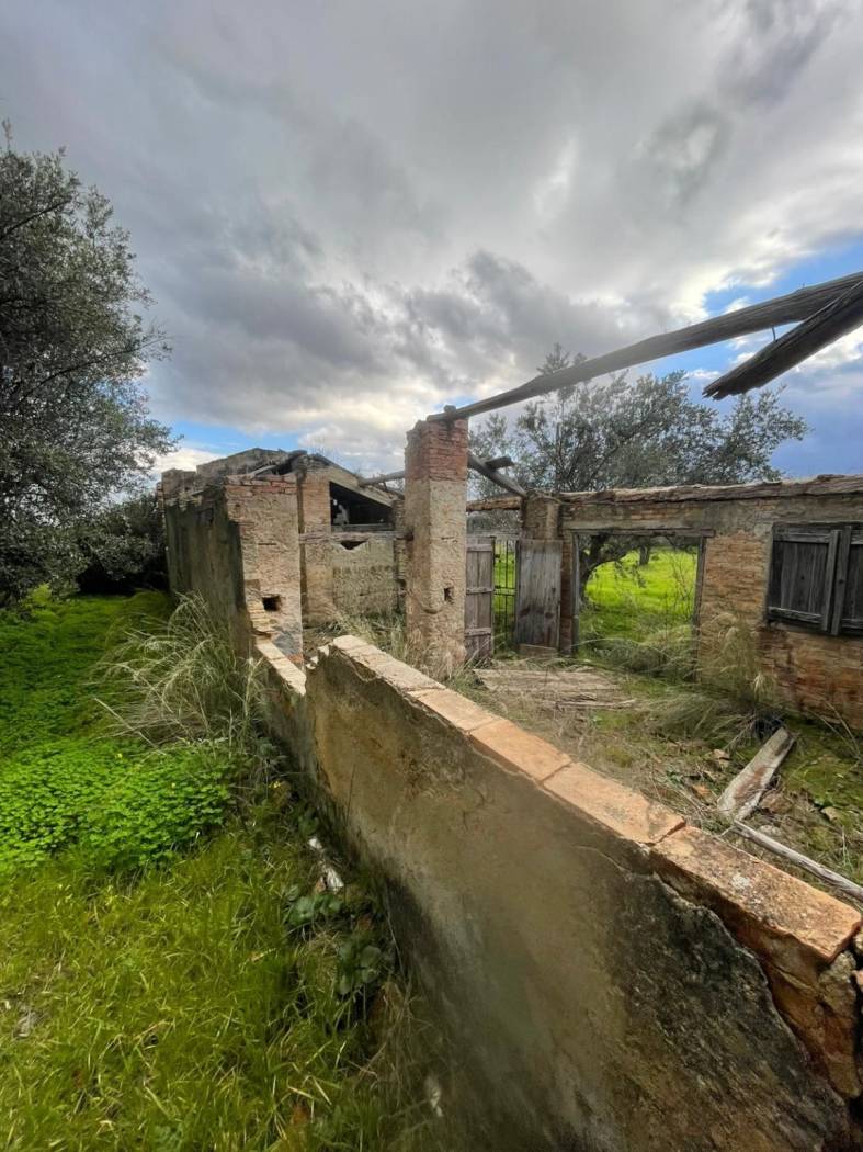 Terreno