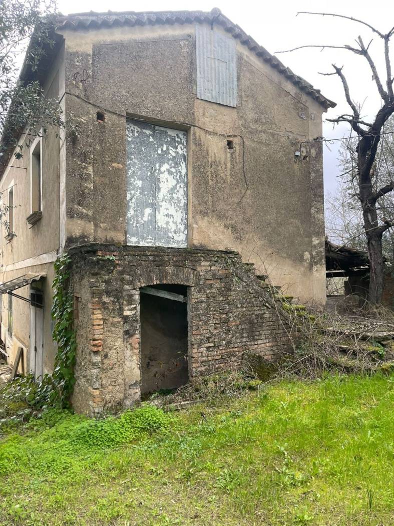 Terreno