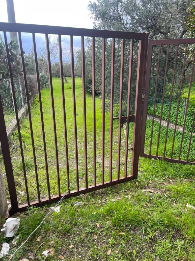 Terreno