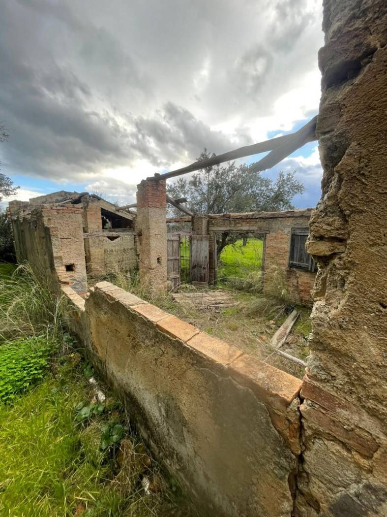 Terreno