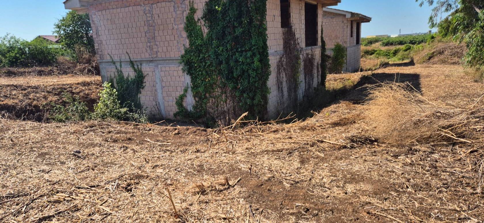 Terreno