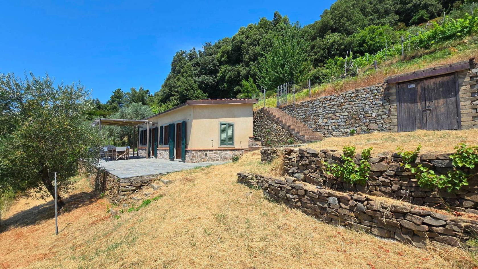 Giardino