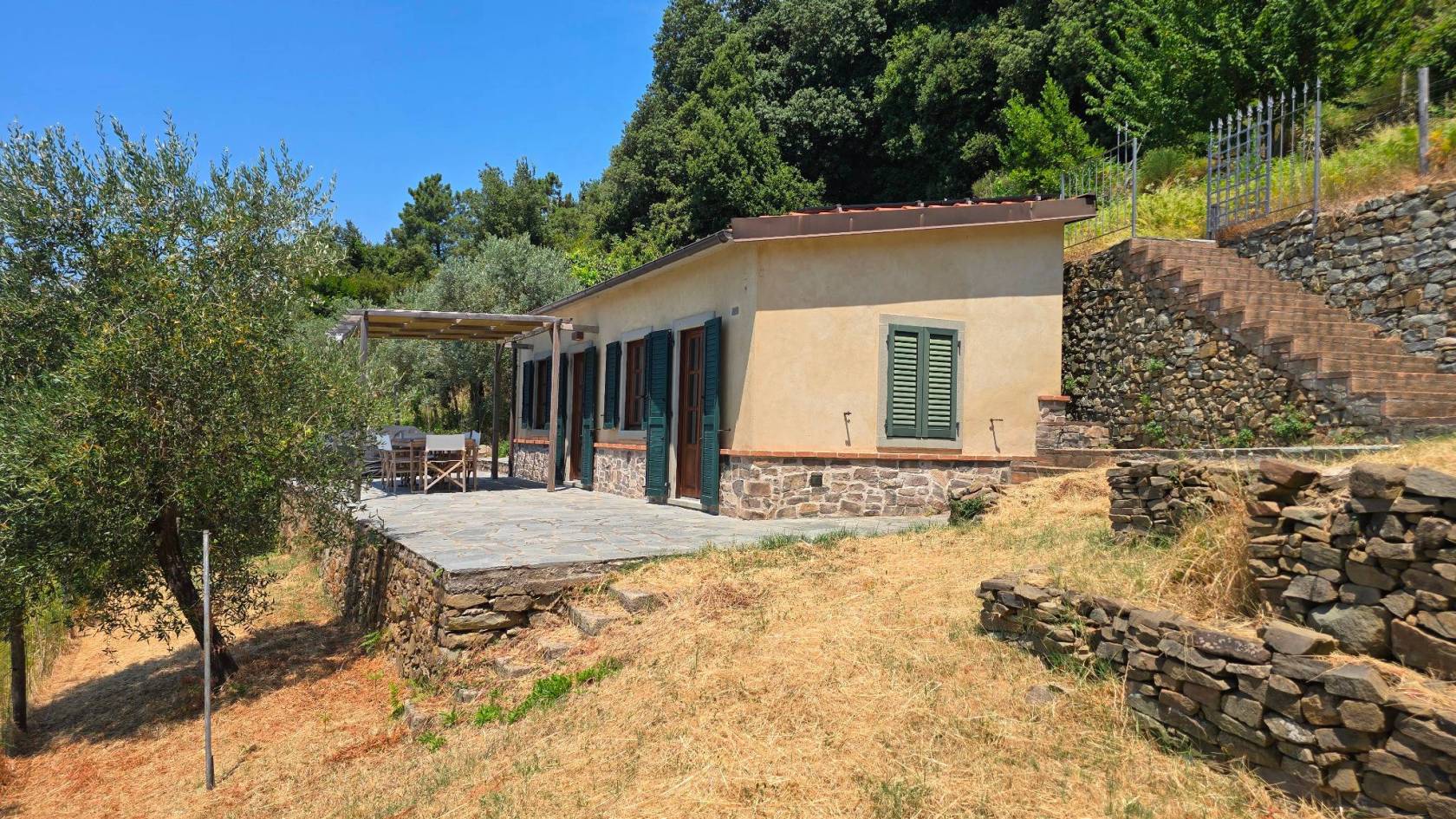Giardino