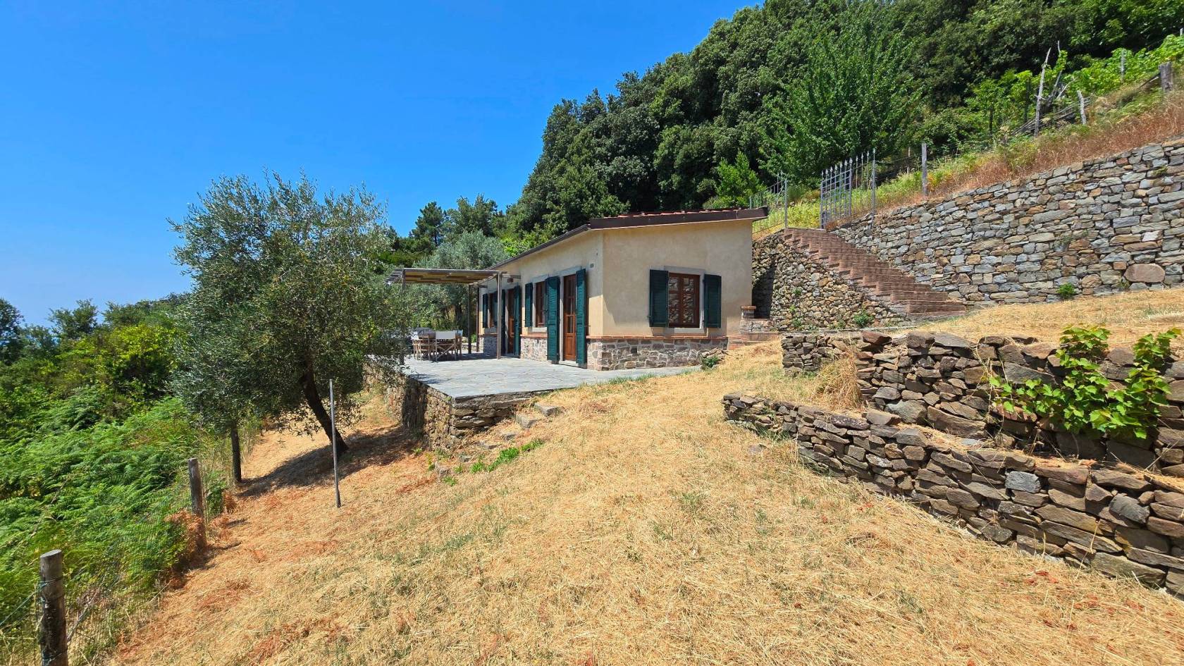 Giardino