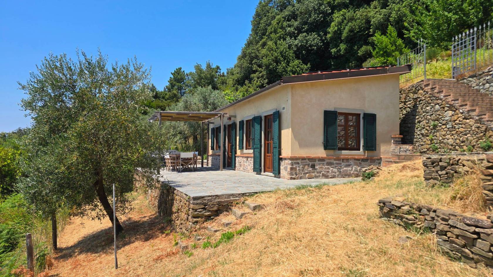 Giardino
