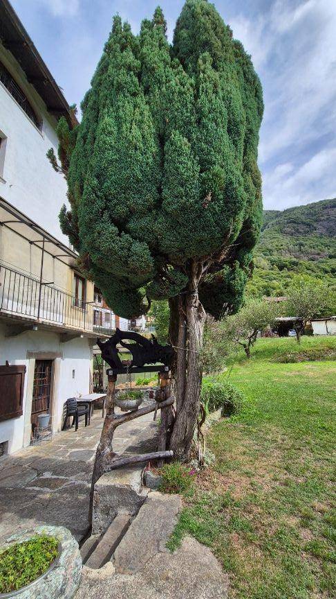 Terreno