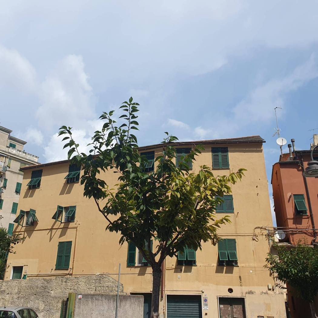 Facciata