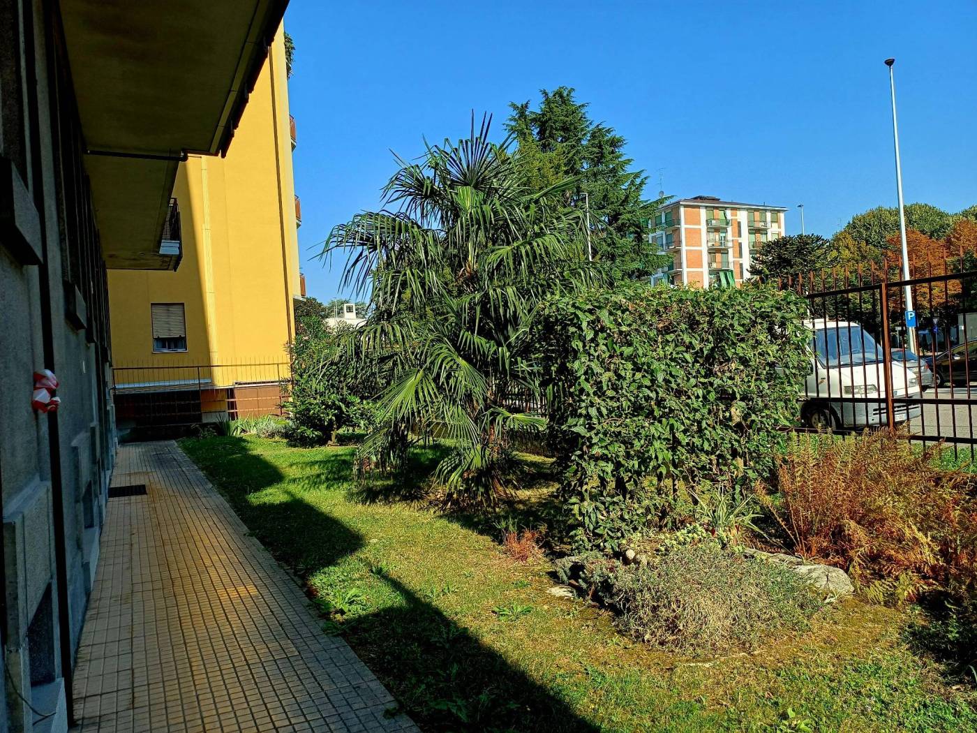 Giardino