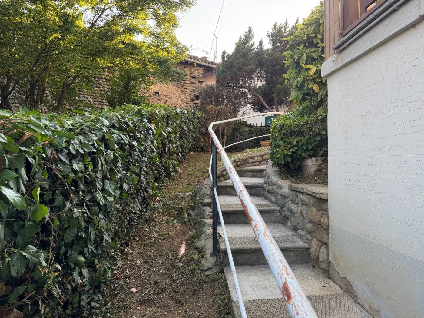 Giardino