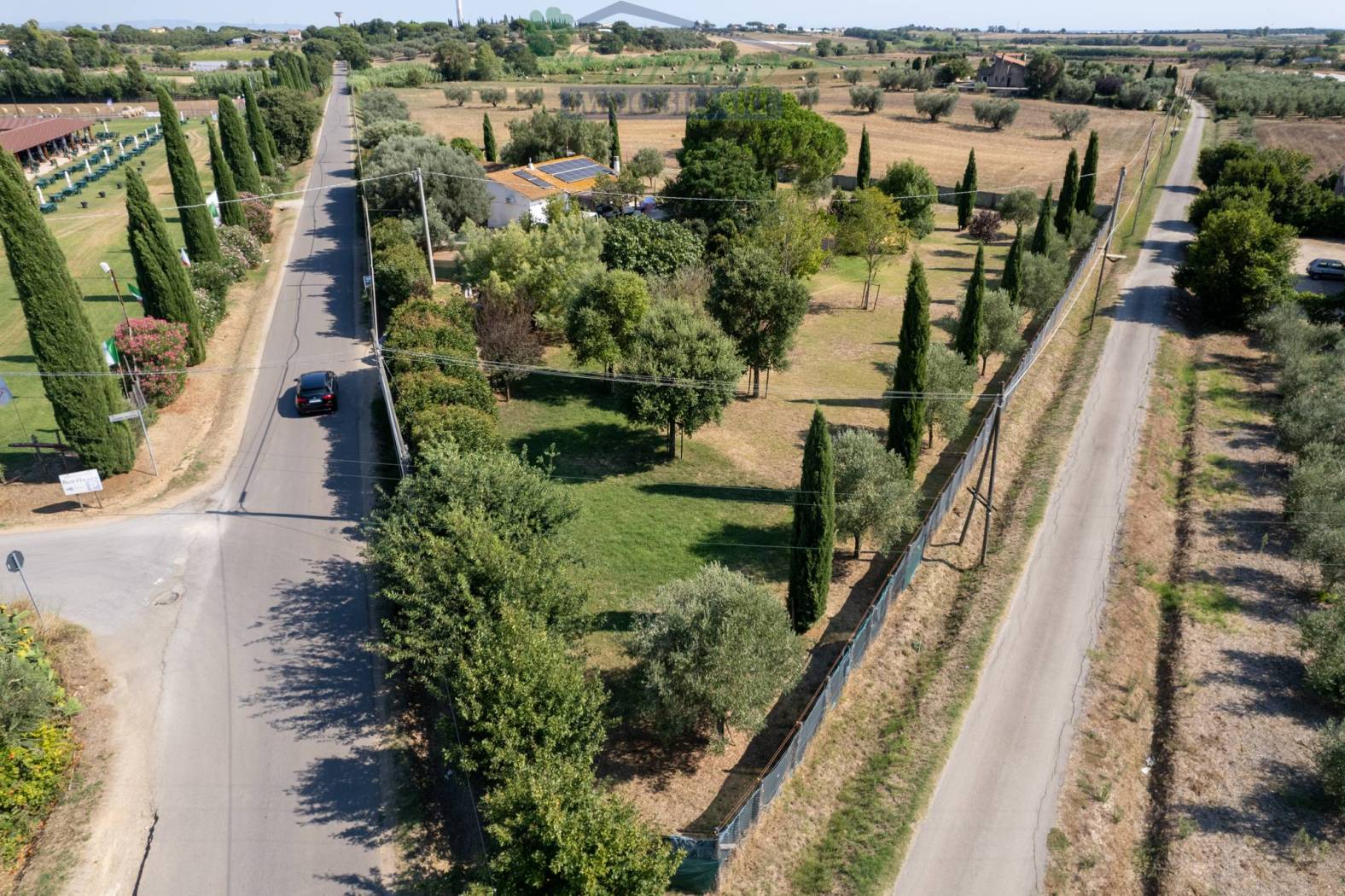 Vista