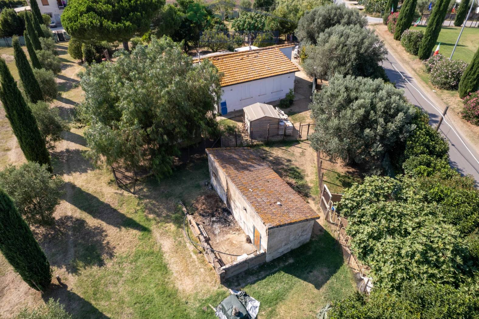 Vista