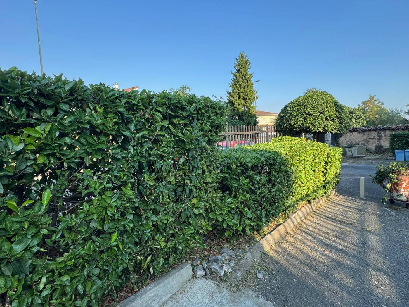 Giardino