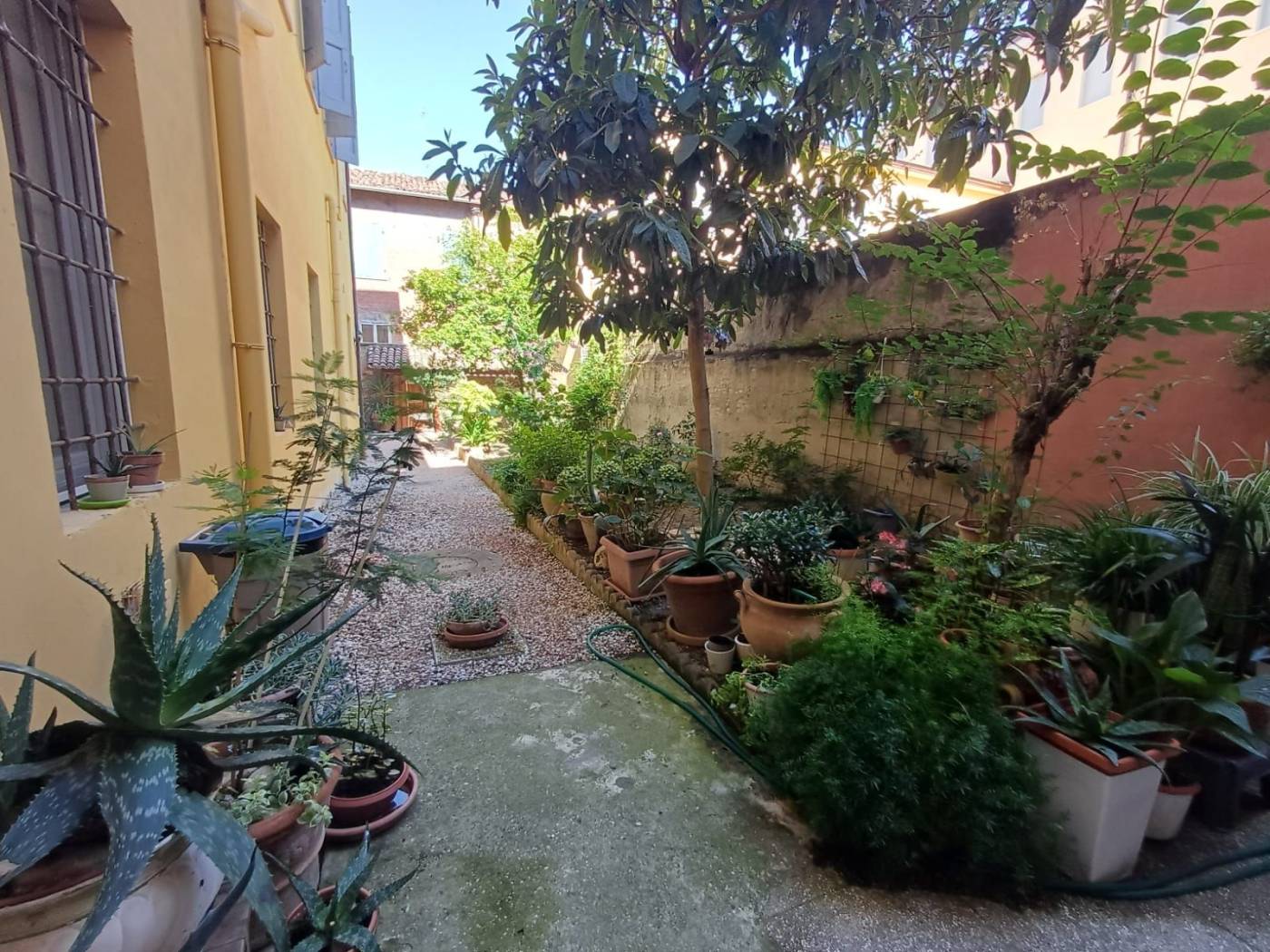 Giardino