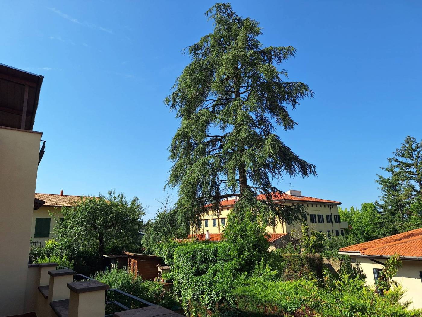 Vista