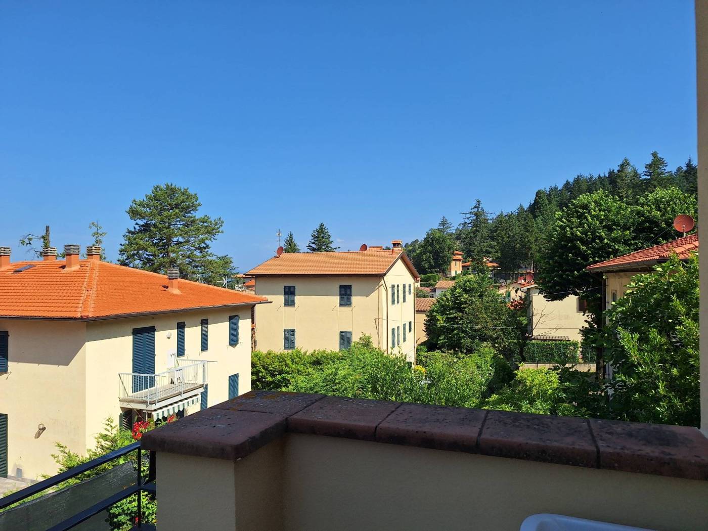 Vista