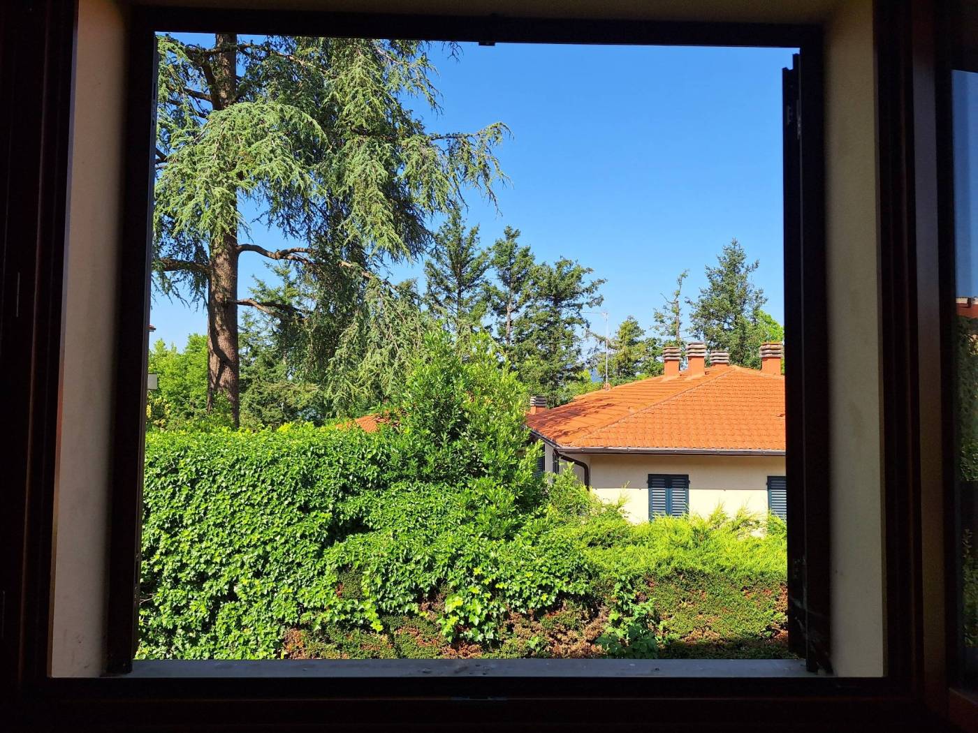 Vista