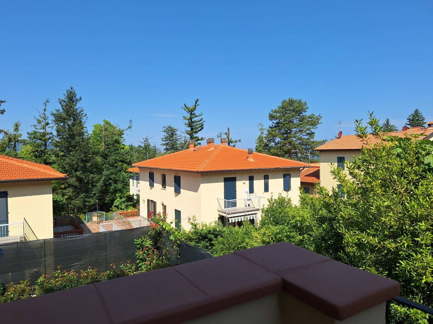 Vista
