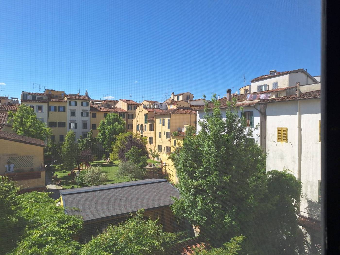 Vista
