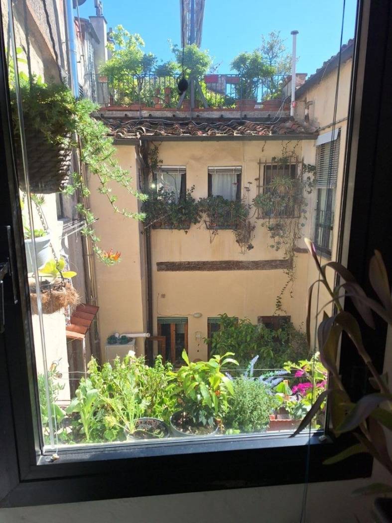 Vista
