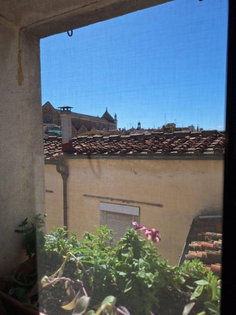 Vista