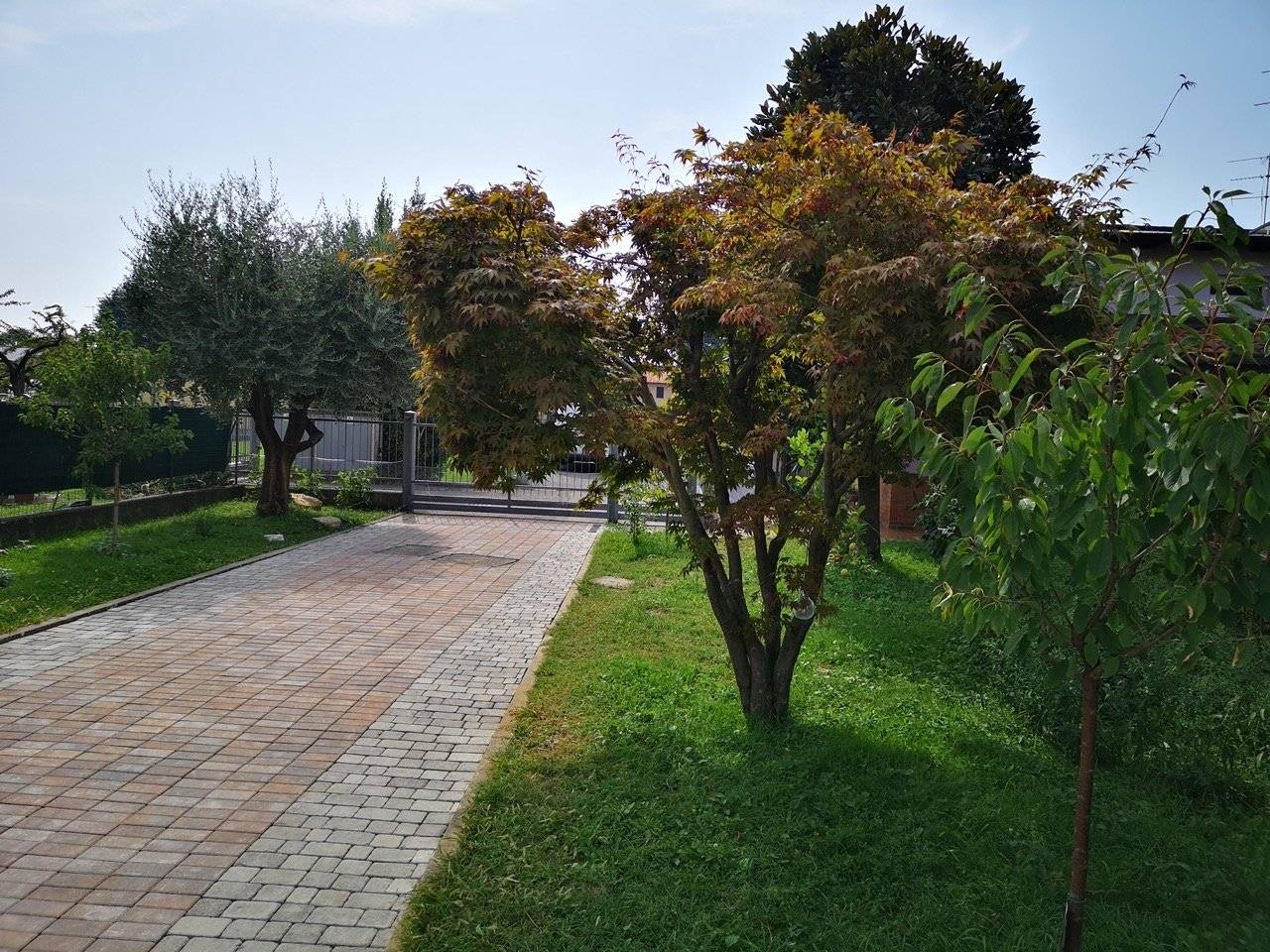 Giardino