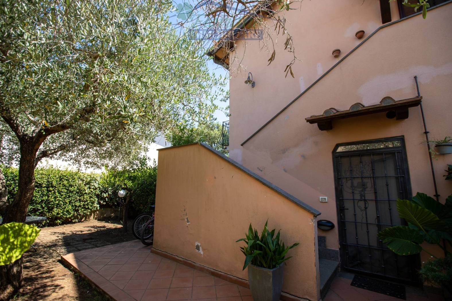 Giardino