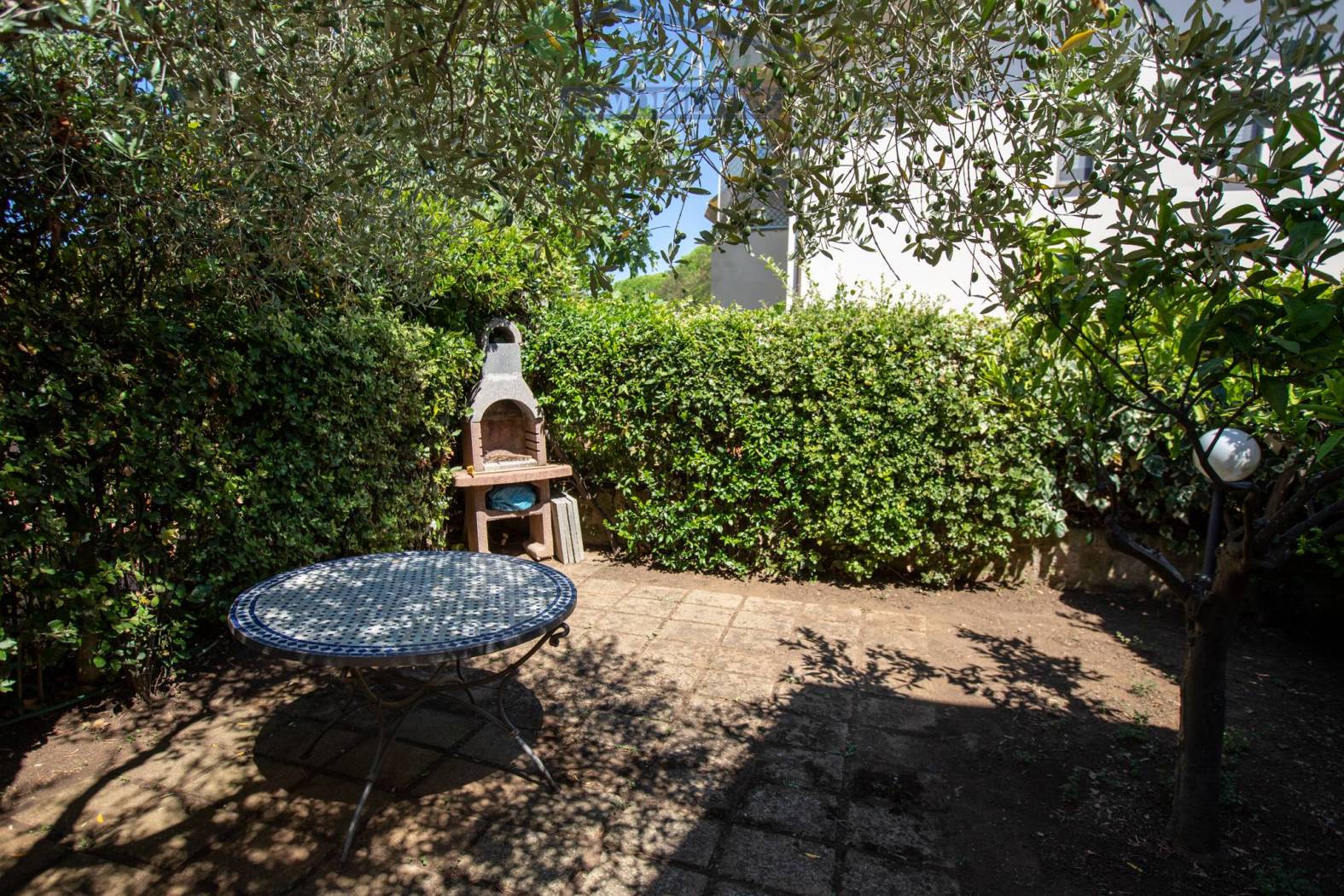 Giardino