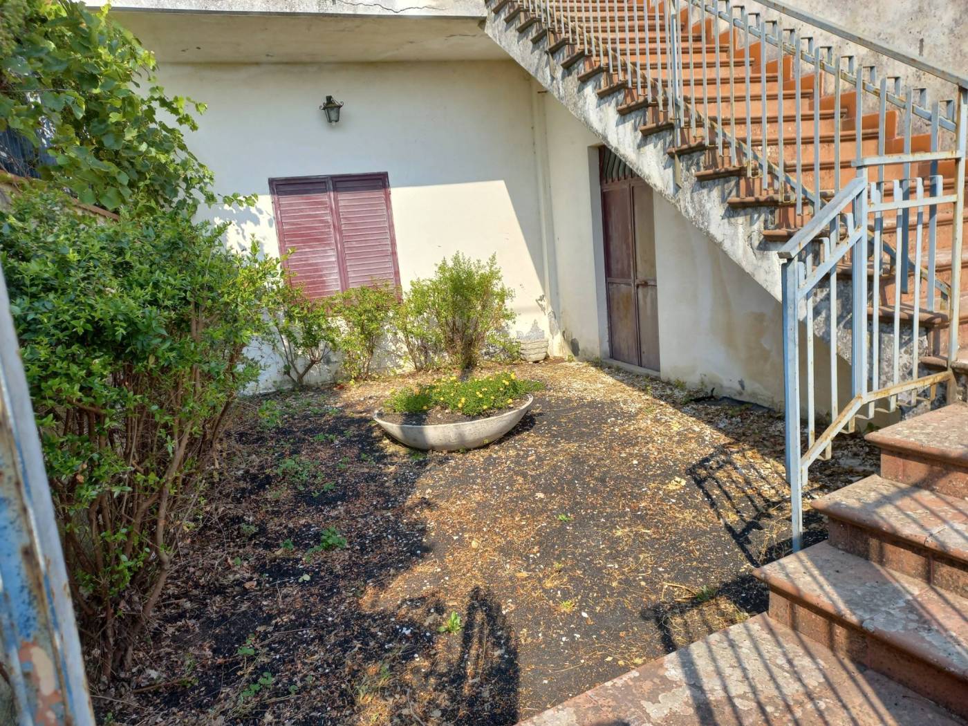 Giardino