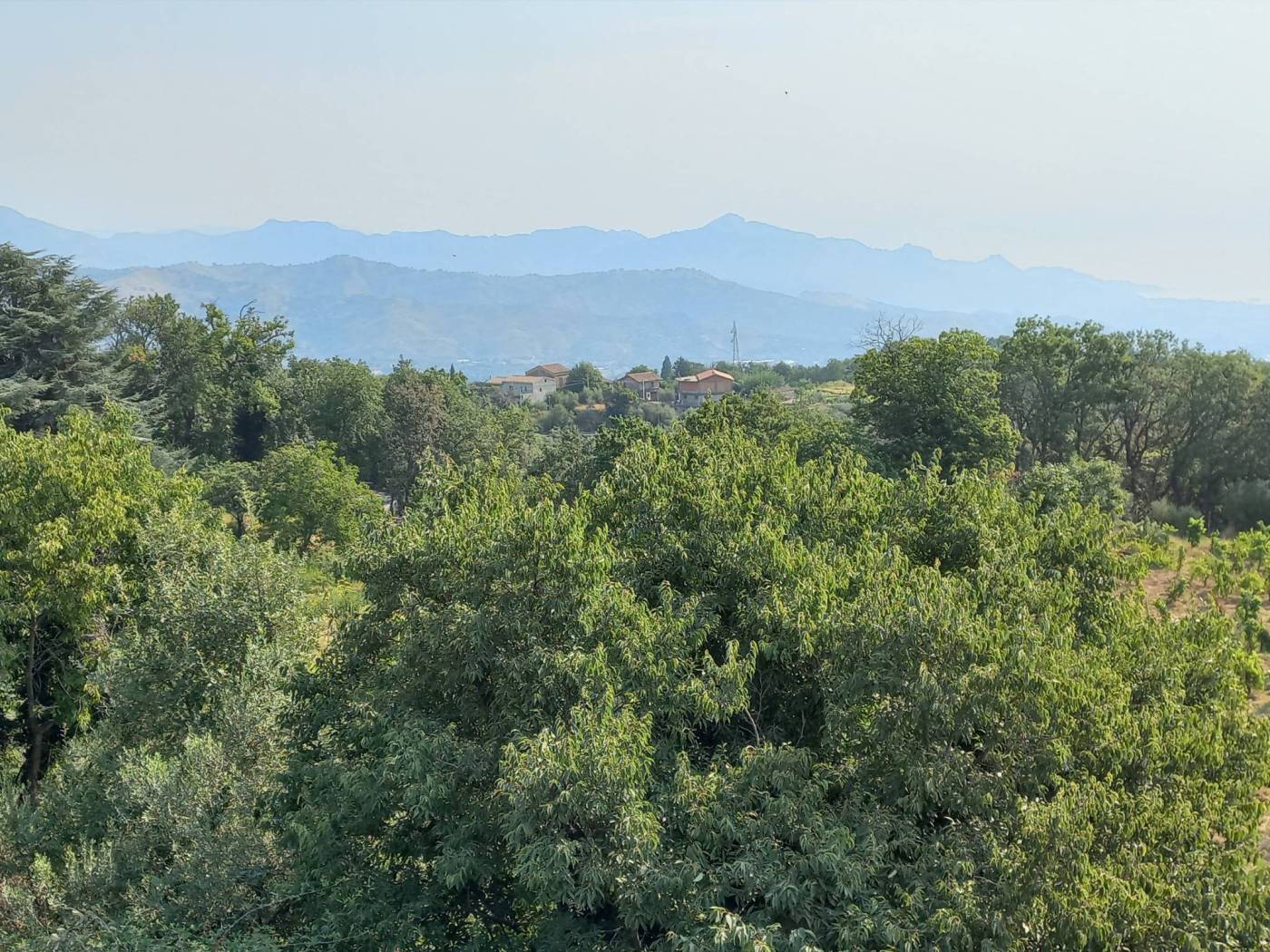 Vista