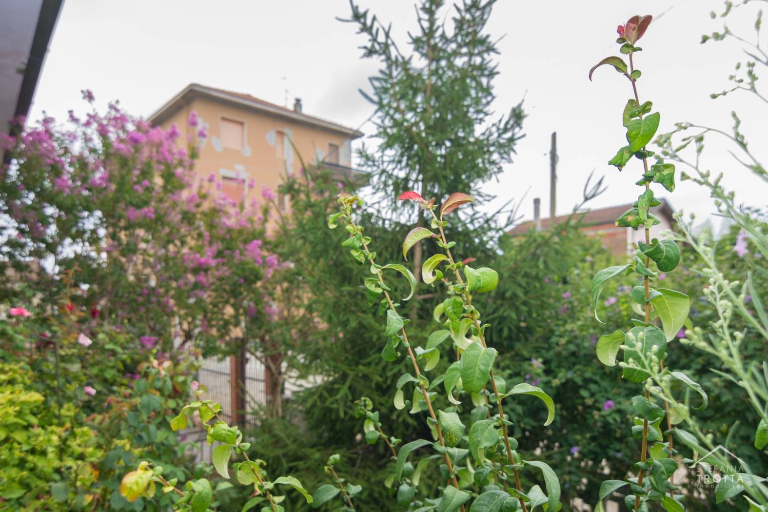 Giardino