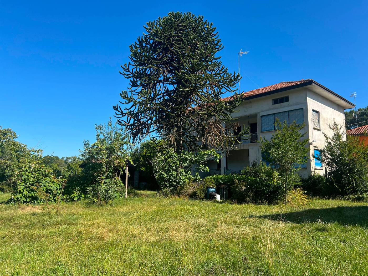 Terreno