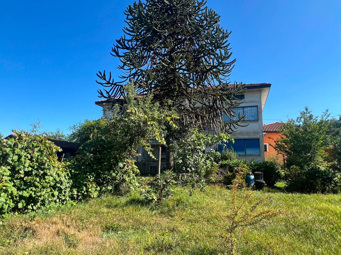 Terreno