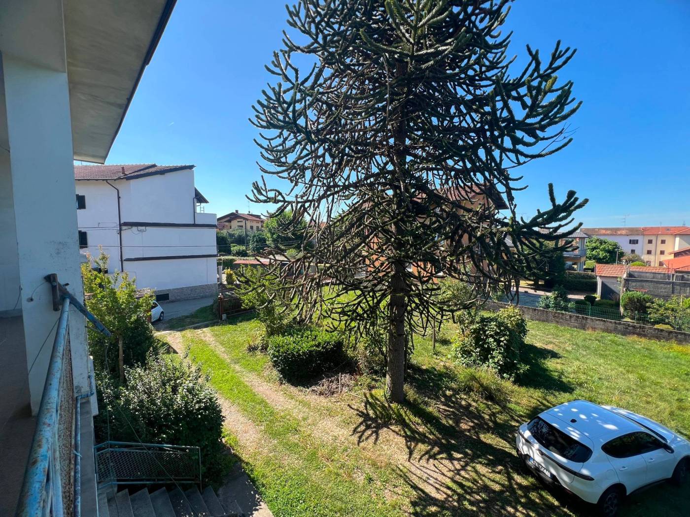 Vista