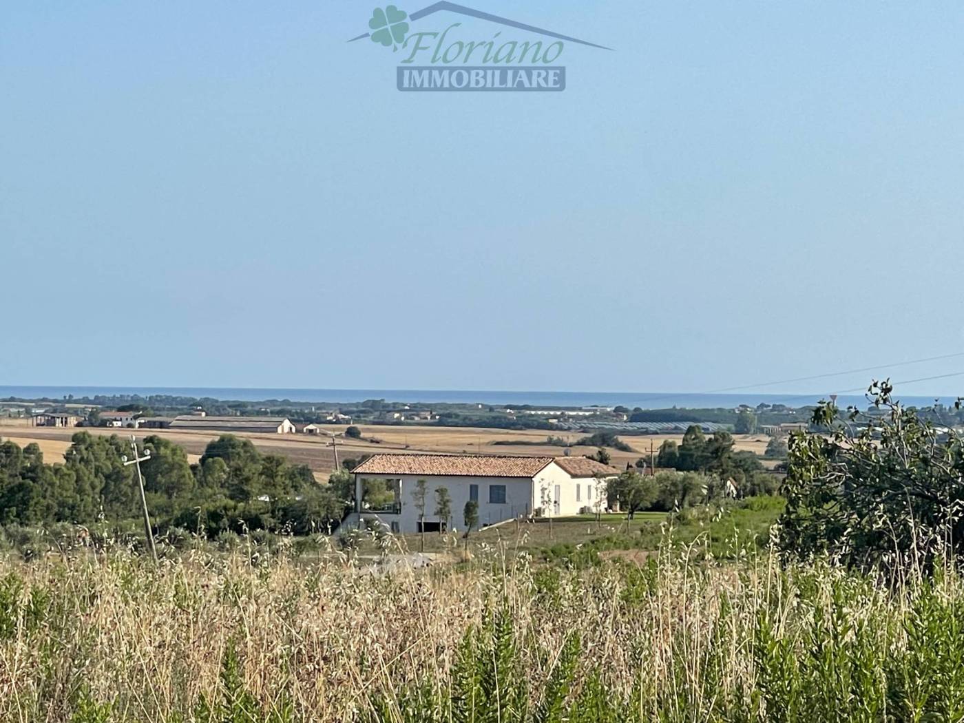 Vista