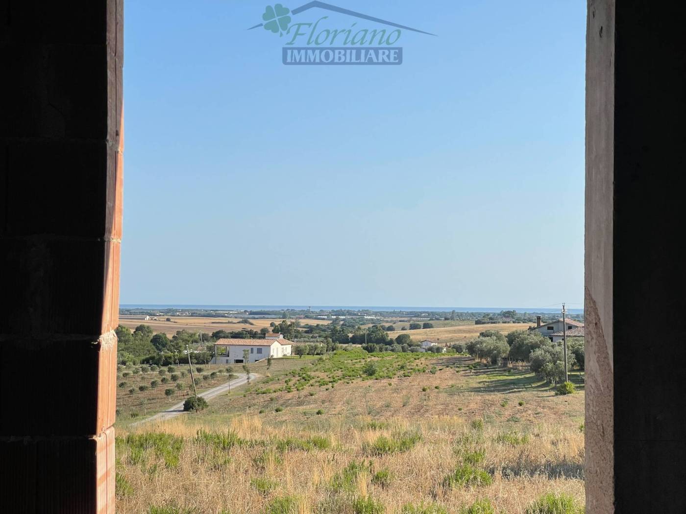 Vista
