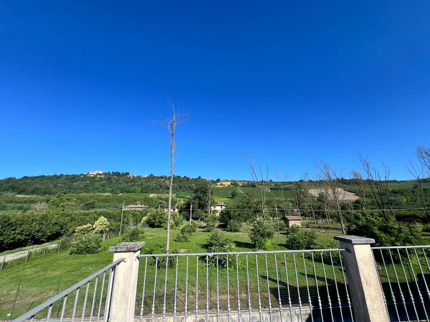 Vista Vista