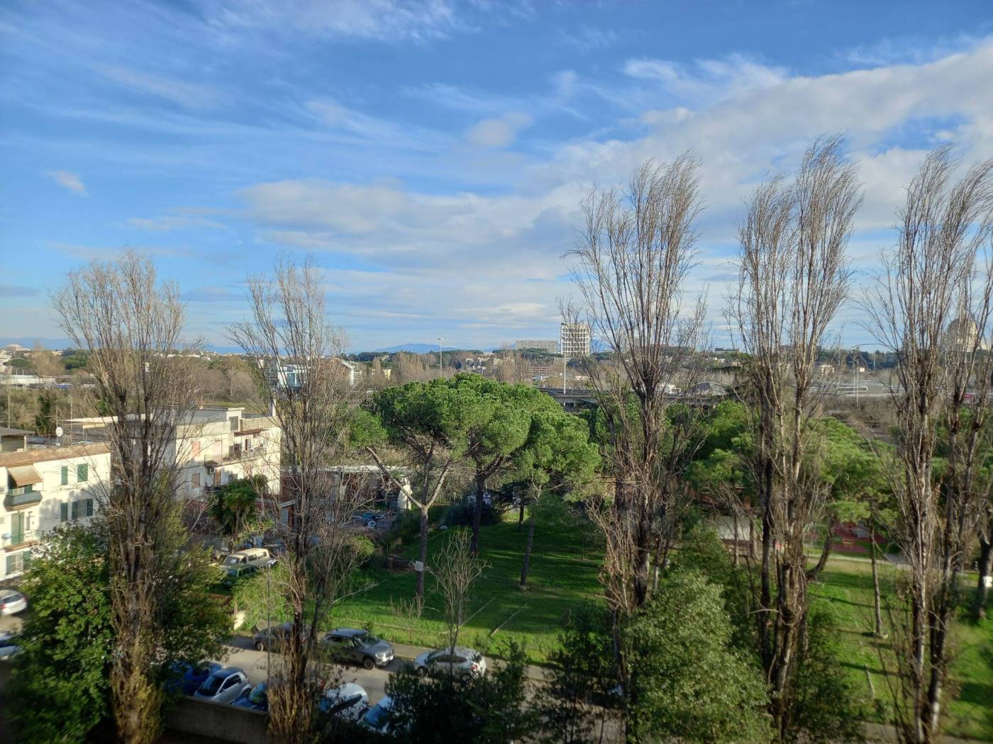 Vista