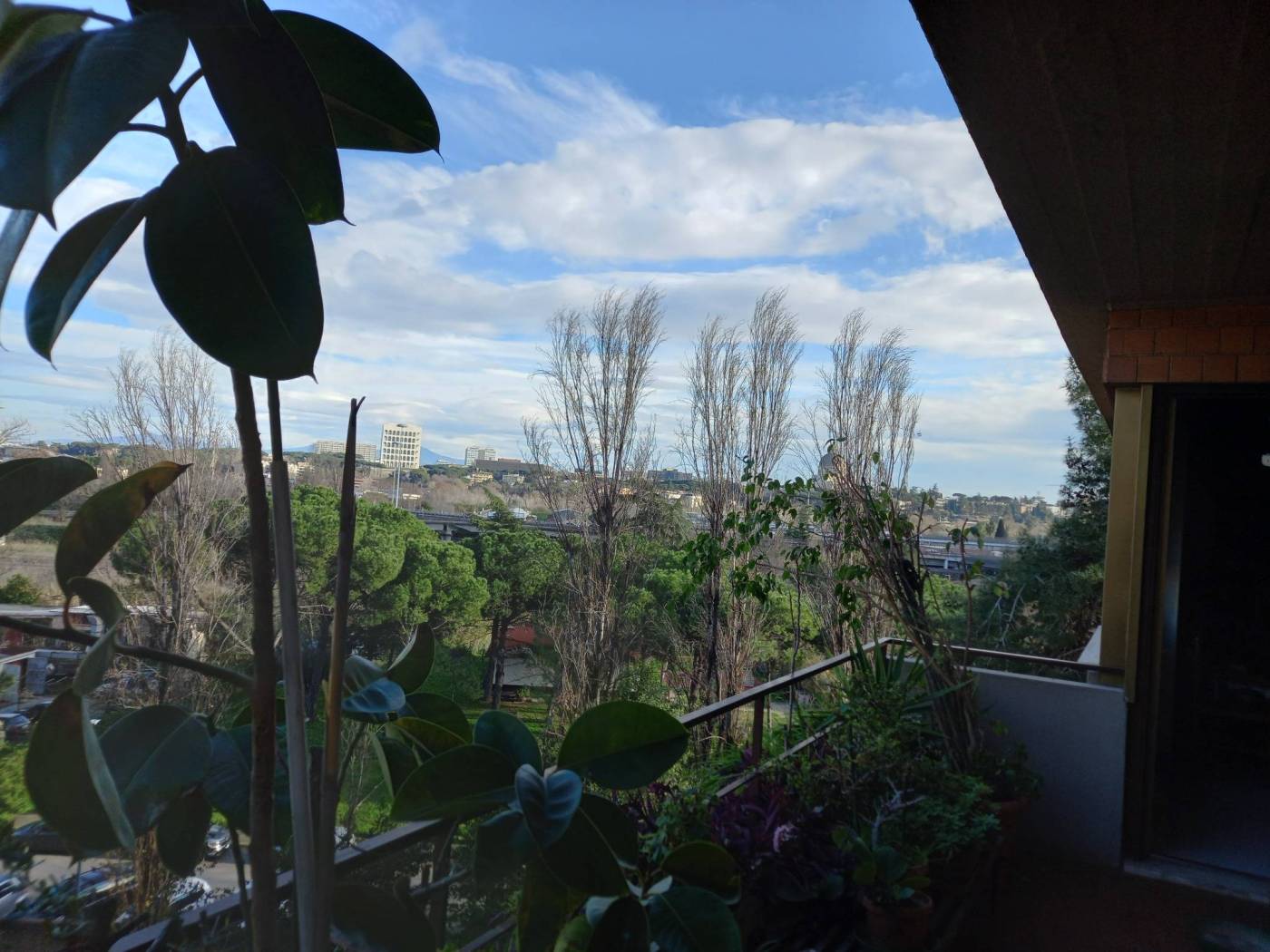 Vista