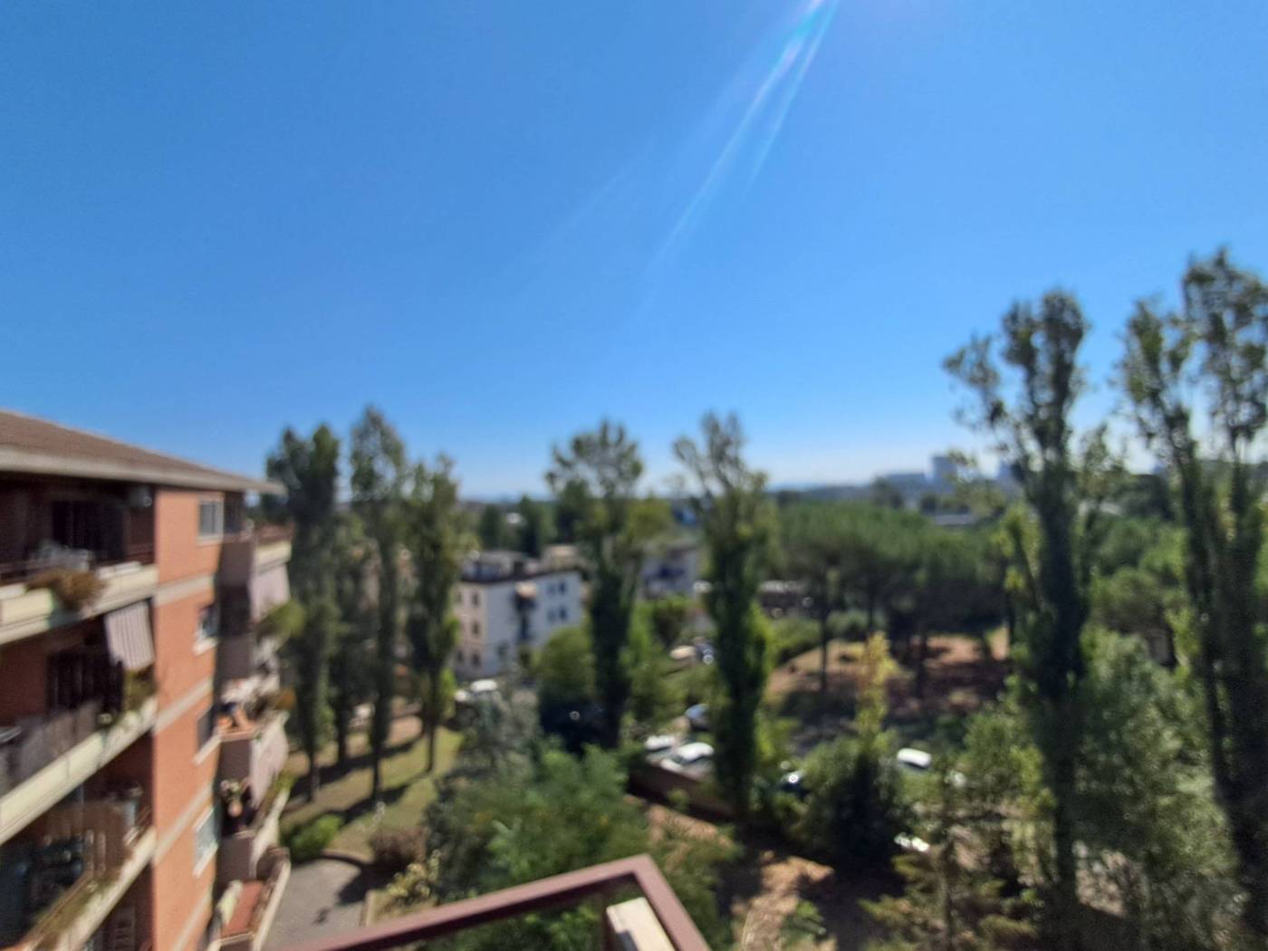 Vista