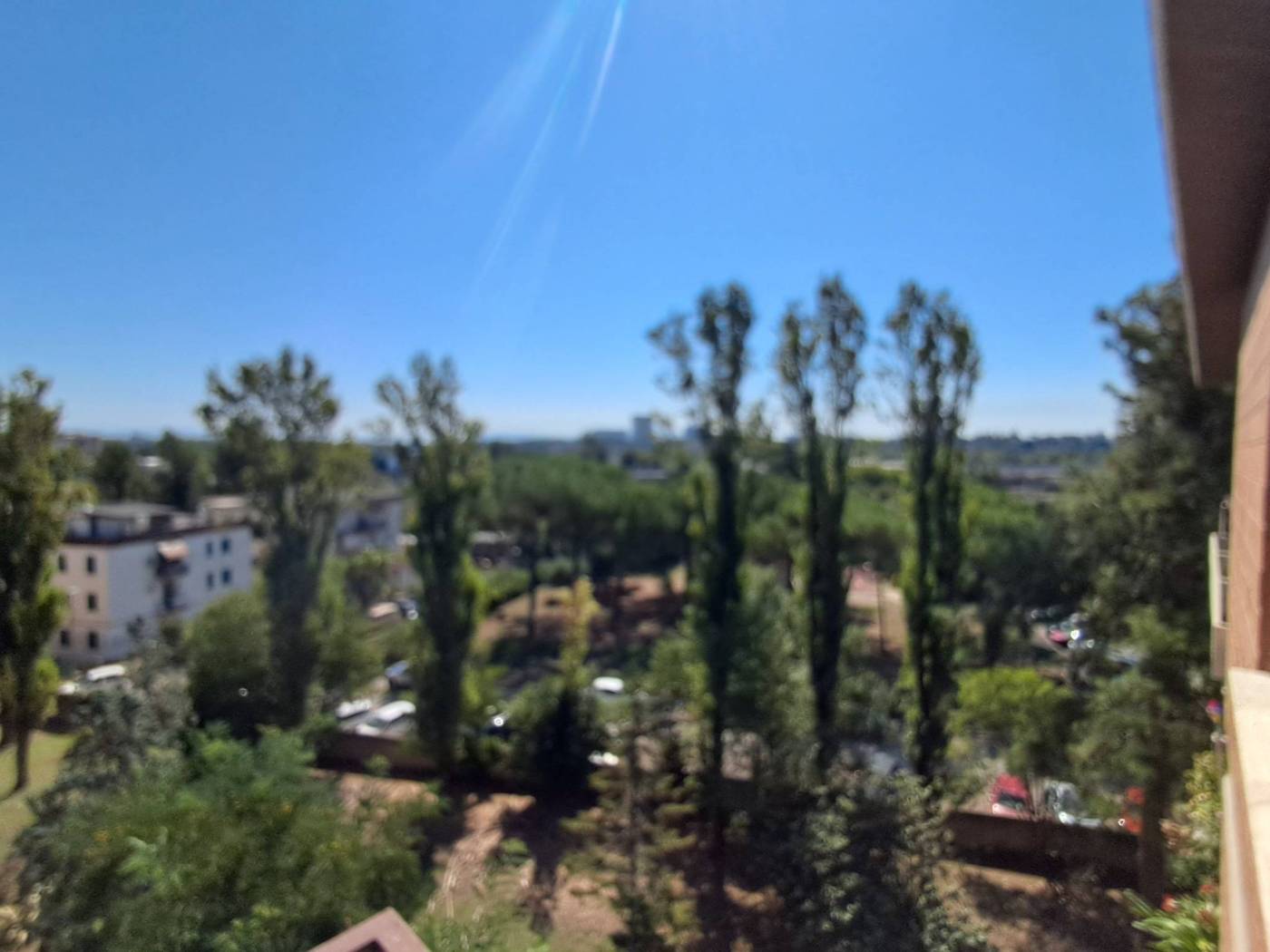 Vista