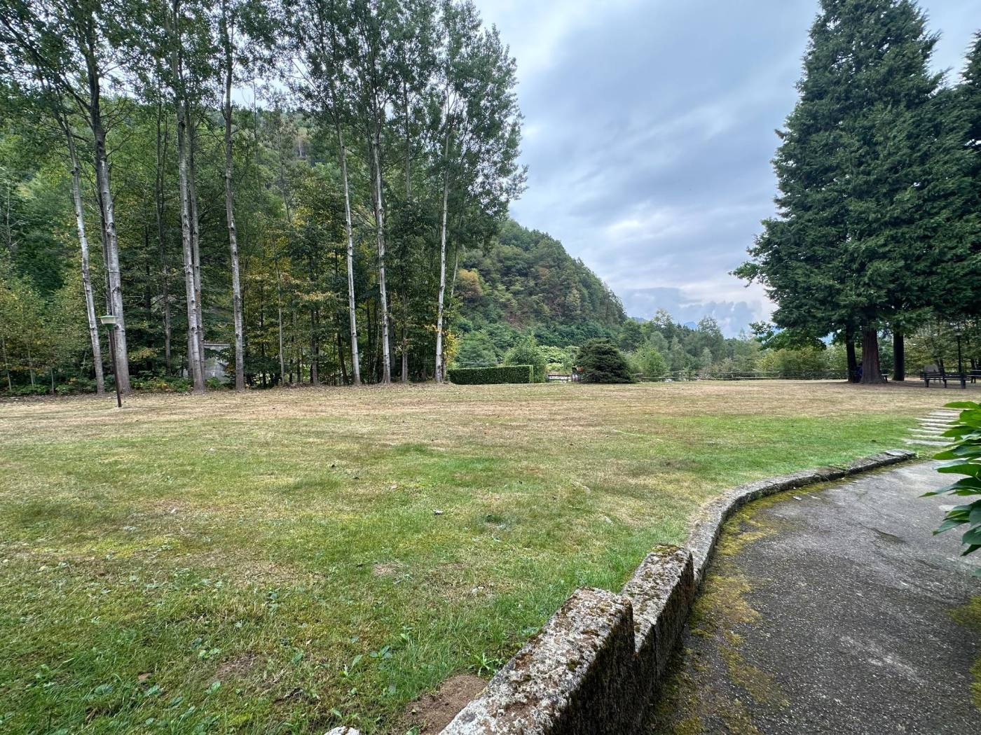 Giardino