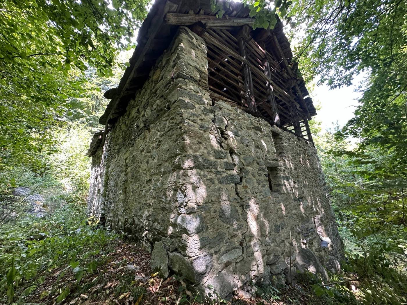 Terreno