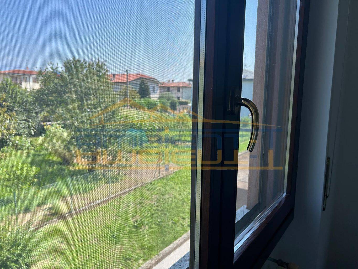 Vista